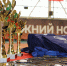 Команда Нижегородского областного суда одержала победу в турнире по волейболу на Кубок Фемиды - Бутурлинский районный суд