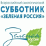 Всероссийский субботник. - Бутурлинский муниципальный округ